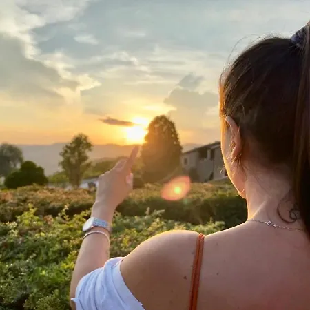 Le * Assisi