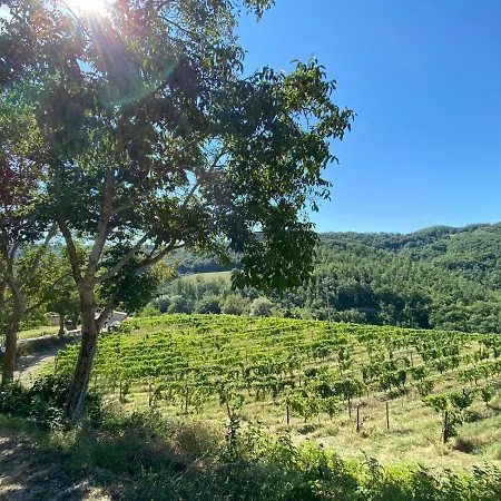 Farm stay Le Assisi