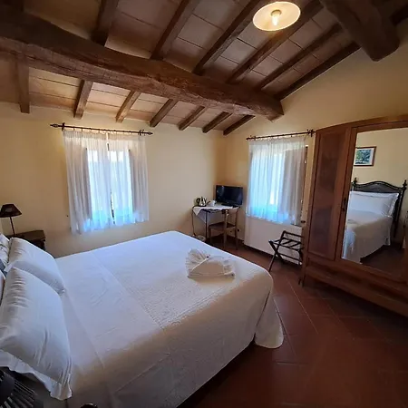 Le * Assisi