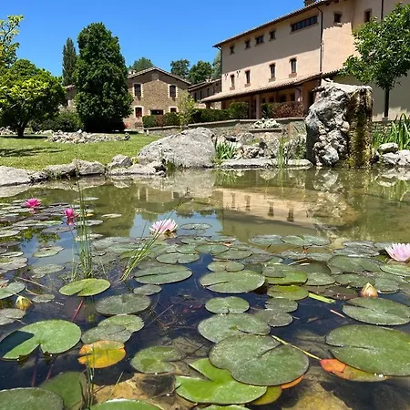 Le Assisi