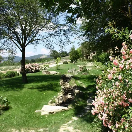 Le Assisi